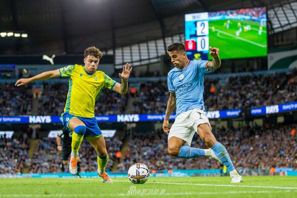 毫无亮点 毫无亮点